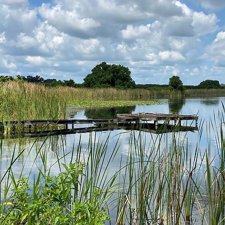 The Scandinavian Contemporary Blauw Lake Alfred Extérieur photo