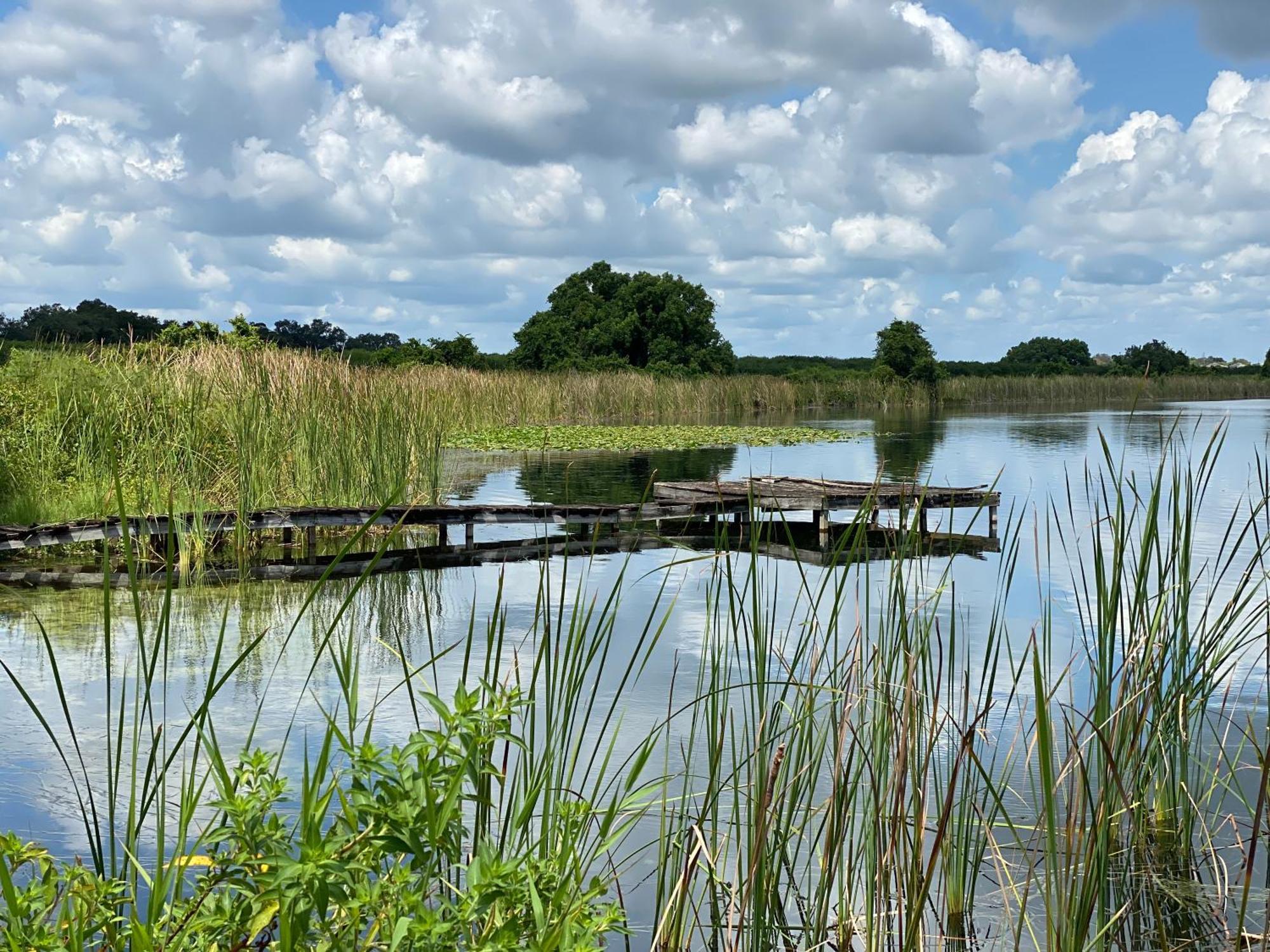 The Scandinavian Contemporary Blauw Lake Alfred Extérieur photo